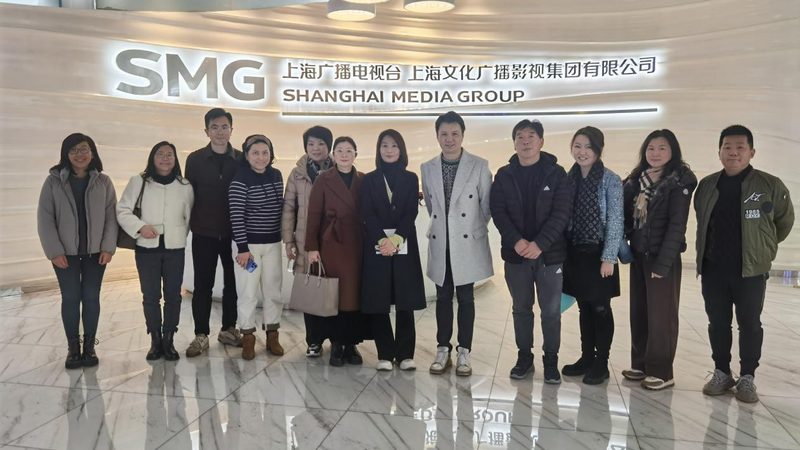 品牌设计全案：价格背后的考量因素