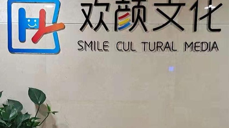 纪录片拍摄手法分类介绍：探寻影像艺术的多样表达